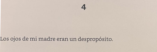 frase el verano en que mi madre tuvo los ojos verdes